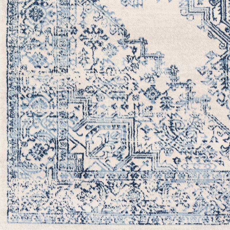 Livabliss Uranus Distressed Medallion Area Rug
