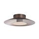 Option Coffee Silver / French Gold