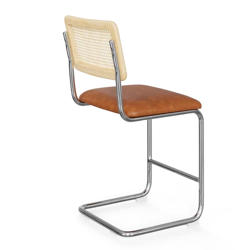 Hayward Cane Back Vegan Leather Counter Height Stool (Set of 2)