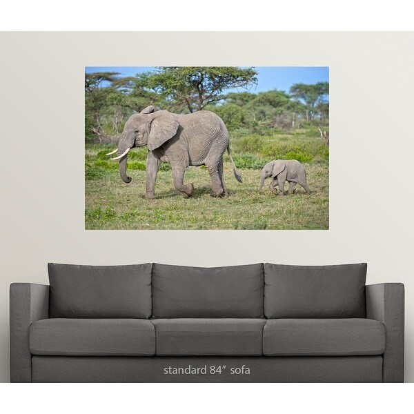 baby elephant sofa