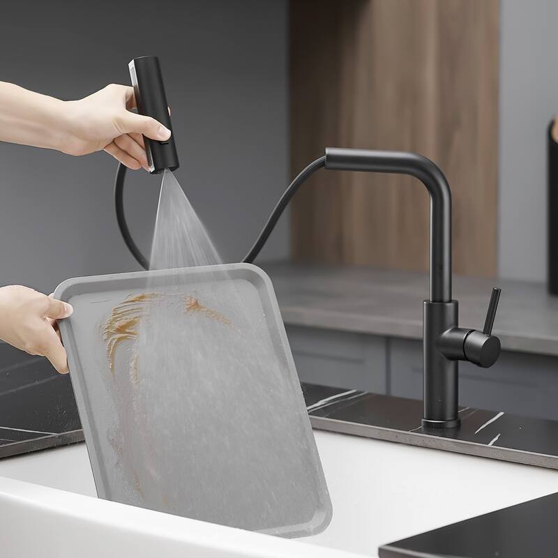 Kitchen faucet with pull-out sprayer