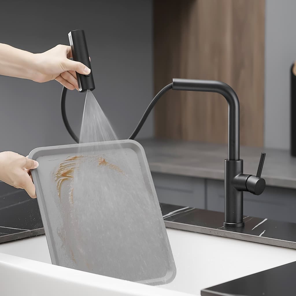 Kitchen faucet with pull-out sprayer