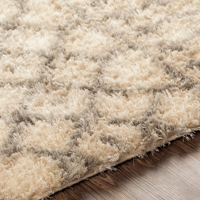 Artistic Weavers Magistrar Global Shag Handmade Area Rug