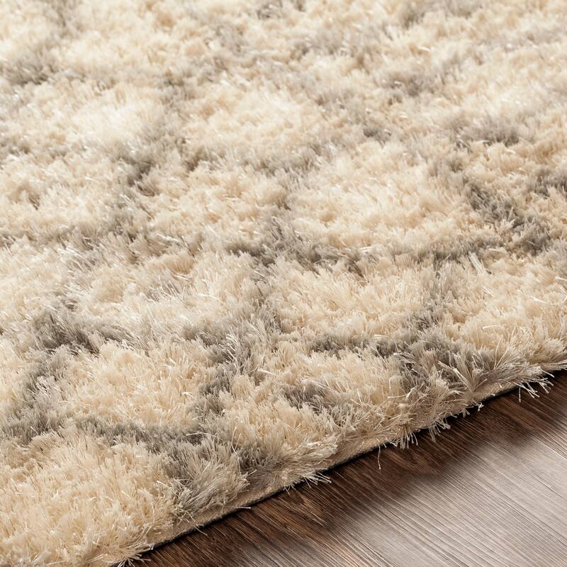 Artistic Weavers Magistrar Global Shag Handmade Area Rug