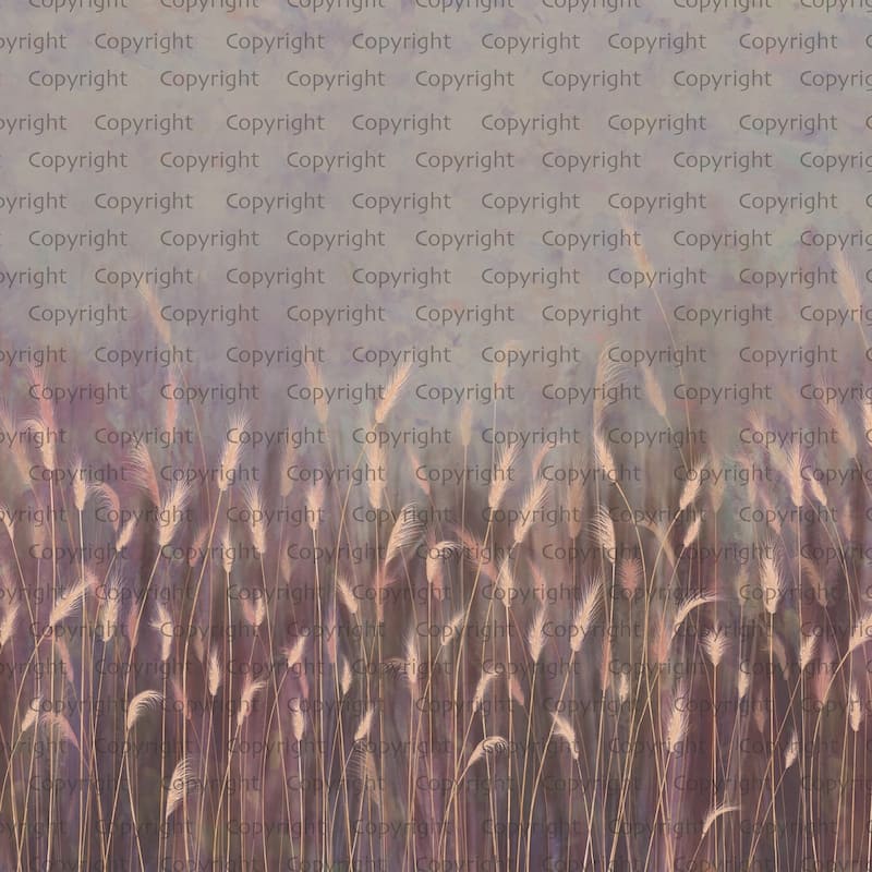 Serene Reed Grass Wallpaper Mural Soft Neutral Tones - Purple - W:225" x H:118"