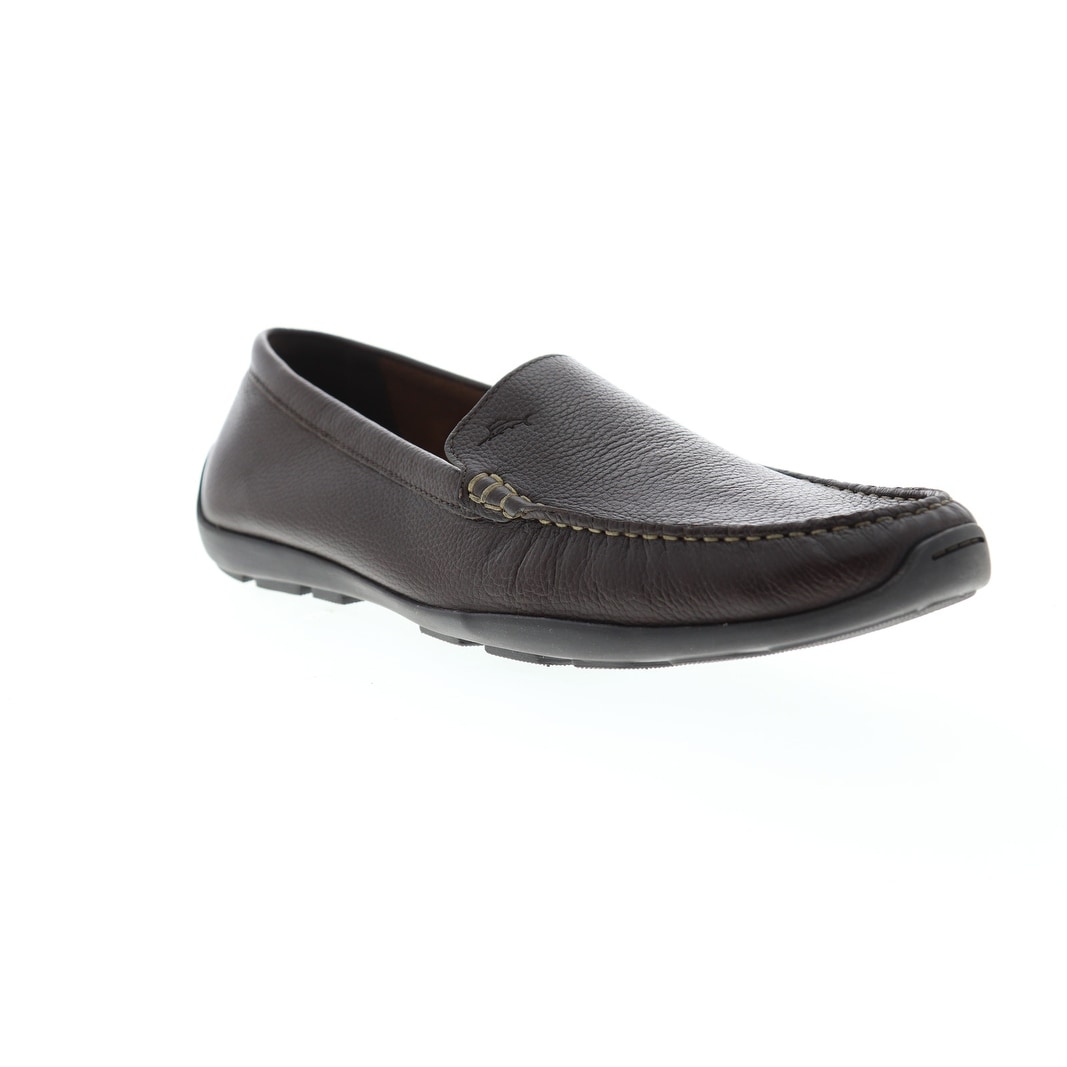 tommy bahama orion