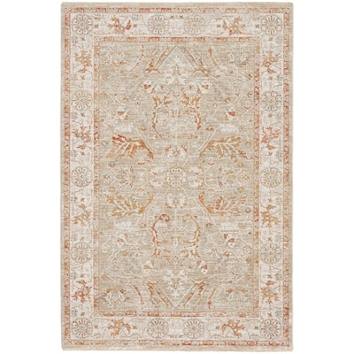 Nourison Asher Indoor only Persian Floral Medallion Area Rug