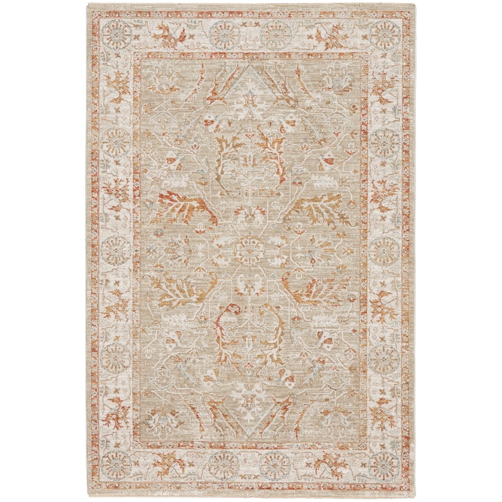 Nourison Asher Indoor only Persian Floral Medallion Area Rug