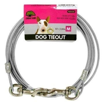chew proof dog collar