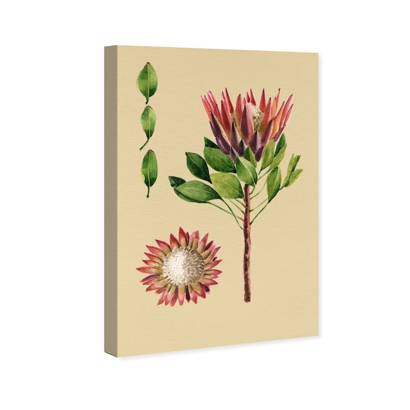 Wynwood Studio Canvas Floral and Botanical Flower and Leaves Red and Light Red Rustic Wall Art Canvas Print