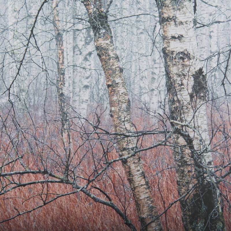 Woodland pastels Framed Art Print