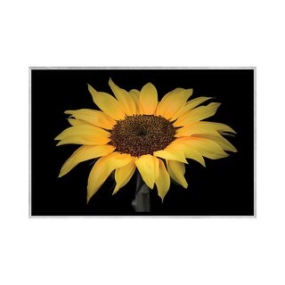 iCanvas "Sunflower" by Assaf Frank Framed - Bed Bath & Beyond - 37658227