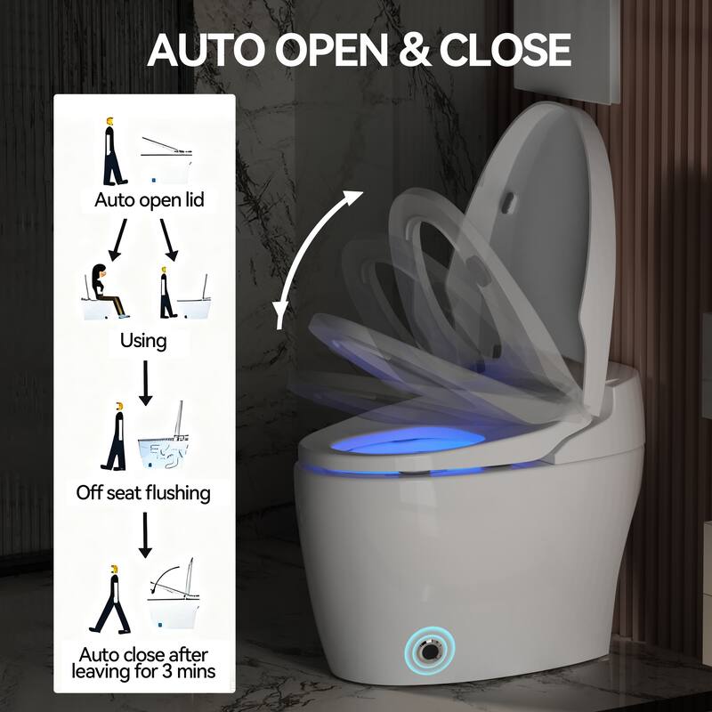 Smart Toilet with Heated Bidet Seat. Auto Open Close. Siphonic Flush. Warm Water. Dryer. Remote Control