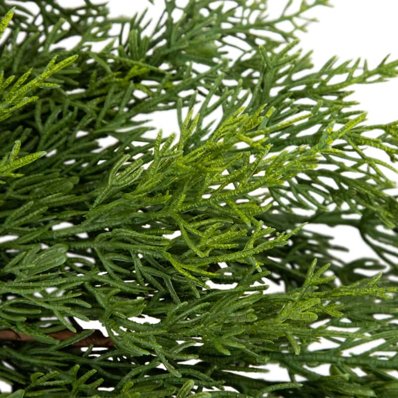 24" Soft Green Cedar Artificial Christmas Wreath with Pine Cones Unlit