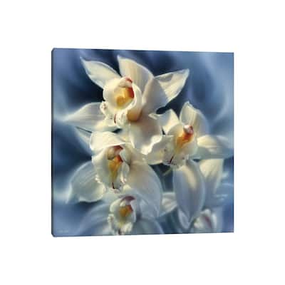 iCanvas "Orchids, Square" by Collin Bogle Canvas Print