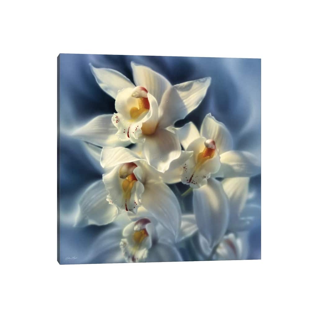 iCanvas "Orchids, Square" by Collin Bogle Canvas Print