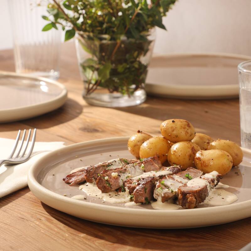 Gibson Elite - Made in Portugal - Port Gaia 10.2 Inch Dinner Plates Set of 4 - Reactive Glaze Dish Set