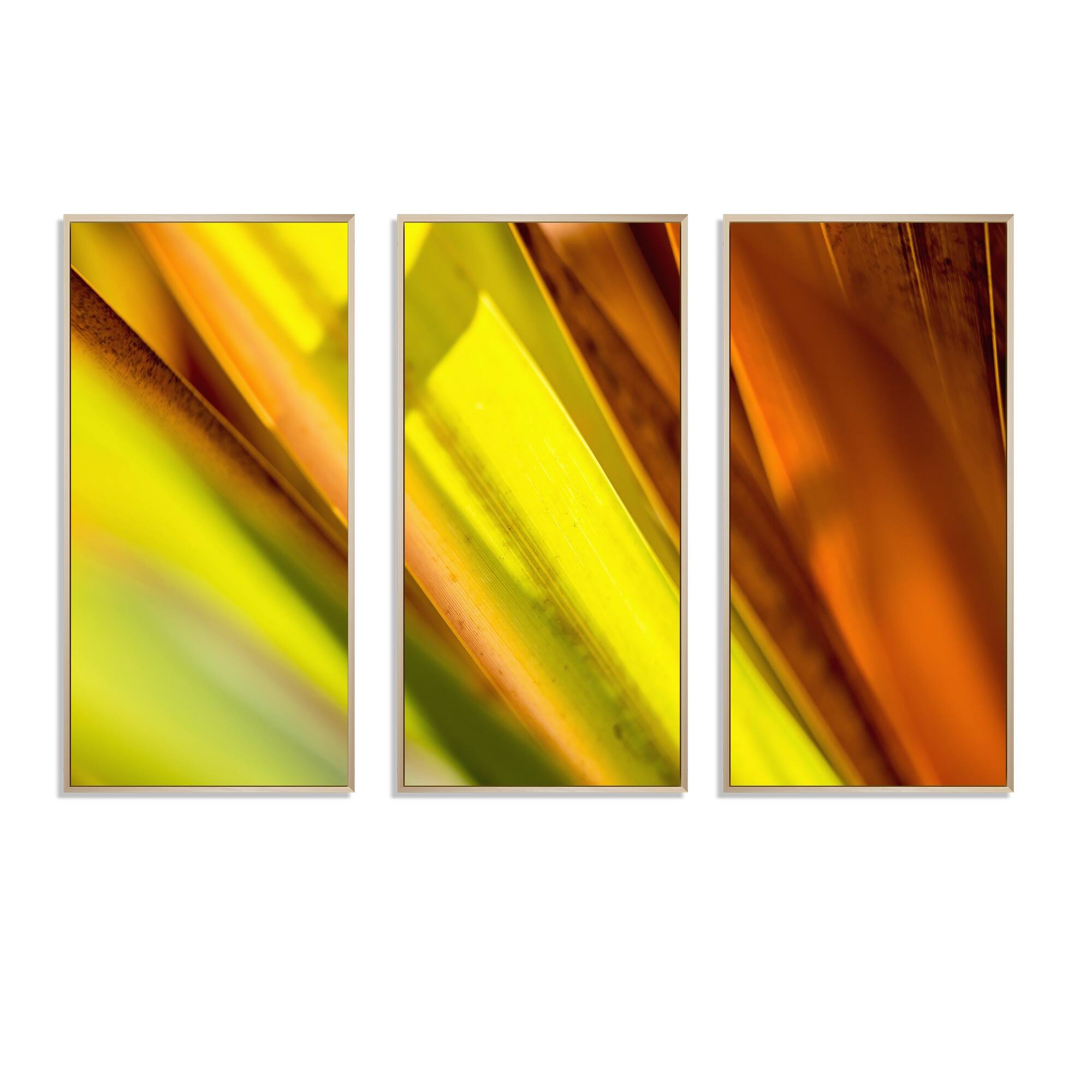 Designart "Light Green And Orange Sunshine" Modern Framed Art Set of 3