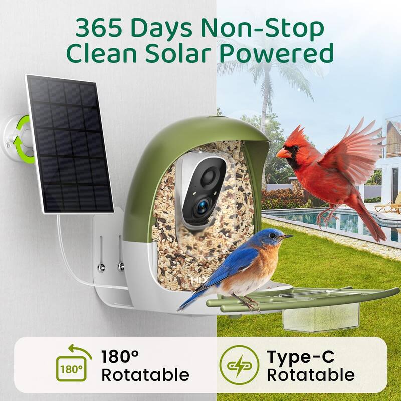 Smart Bird Feeder with Camera 2K HD Live