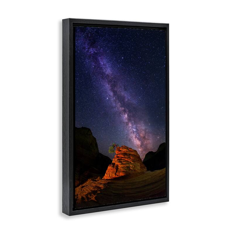 Stupell Milky Way Stars over Canyon Framed Floater Canvas Wall Art Design By Royce Bair
