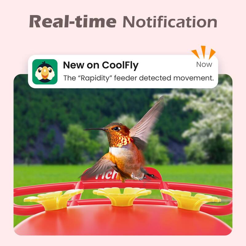 Smart Hummingbird Feeder with Camera Solar Powered