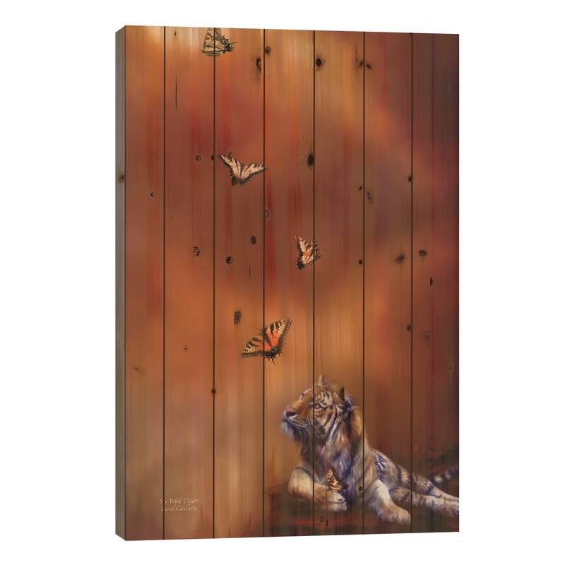 Six Wild Tigers Print On Wood by Carol Cavalaris - Multi-Color - 26x18x1.5