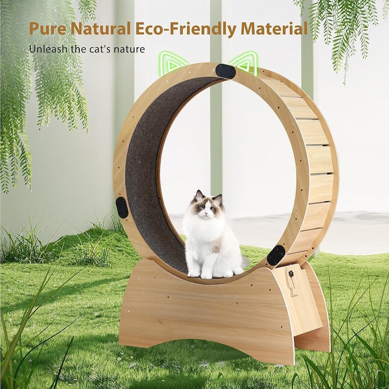 38.9'' Cat Wheel Exerciser for Indoor Cats - 38.9''