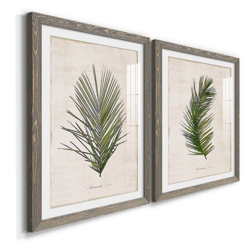 Palm Botanical I-Premium Framed Print - Ready to Hang
