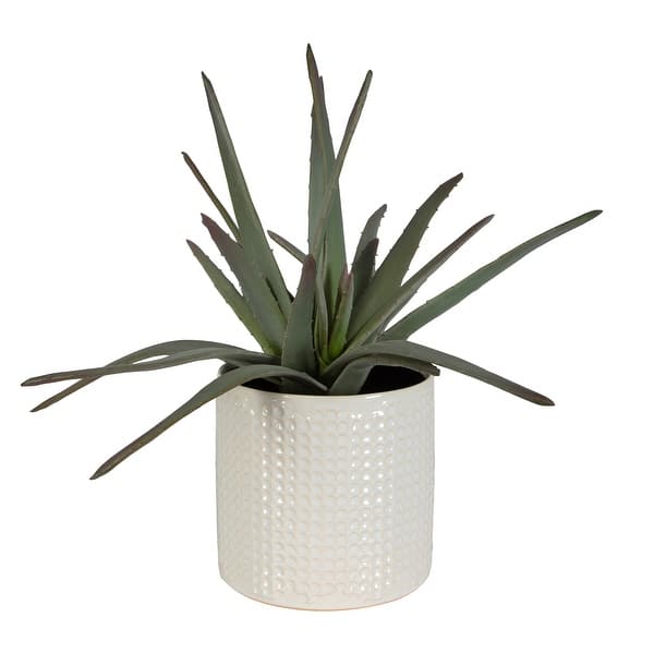 slide 2 of 4, Uttermost Taos Aloe Centerpiece - 21"W x 19"H x 21"D