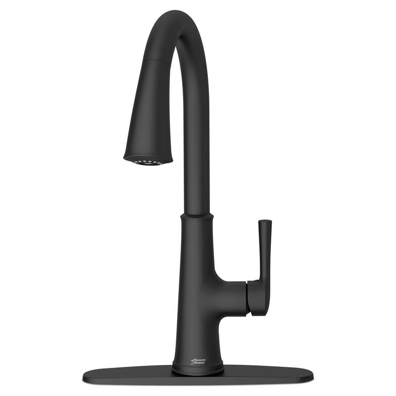American Standard 9319.310 Renate 1.5 GPM Single Hole Pull Down - Matte Black