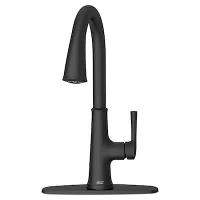 American Standard 9319.310 Renate 1.5 GPM Single Hole Pull Down