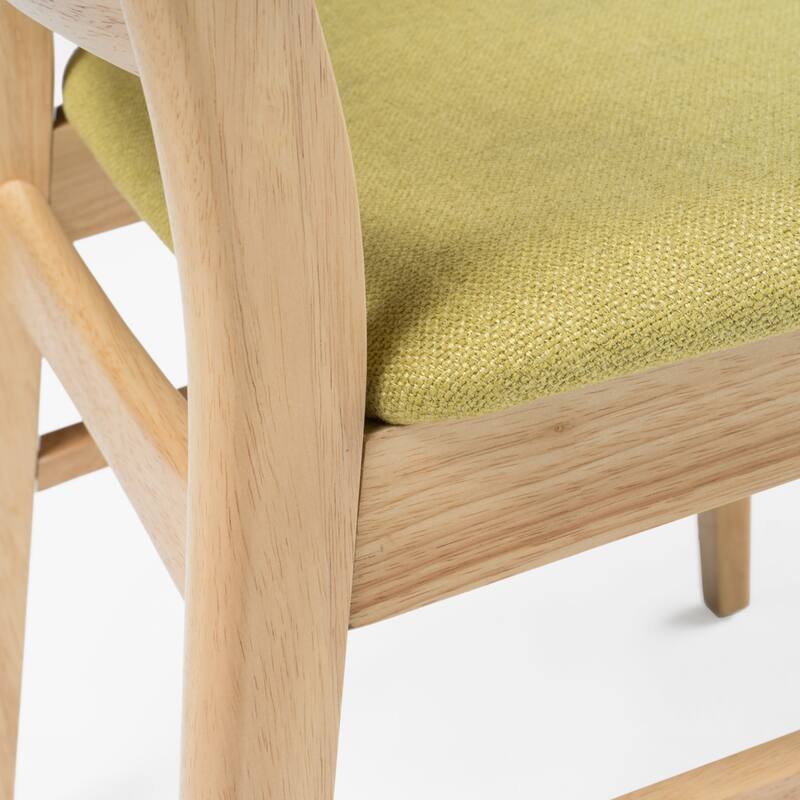 Idalia Mid-century Modern Dining Chairs (Set of 4) by Christopher Knight Home