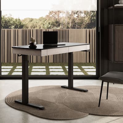 Eureka Ergonomic Home Office Electric Height Adjustable Standing Desk with 2 Drawers & Monitor Stand
