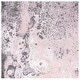 preview thumbnail 33 of 42, SAFAVIEH Glacier Liliana Watercolor Modern Abstract Rug