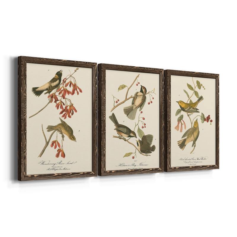 Wandering Rice Bird-Premium Framed Canvas - Ready to Hang - Multi-Color