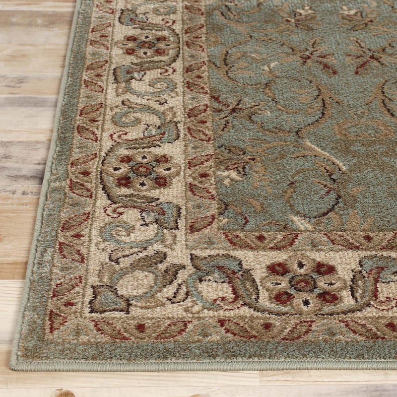 Superior Heritage Traditional Floral Scroll Indoor Area Rug