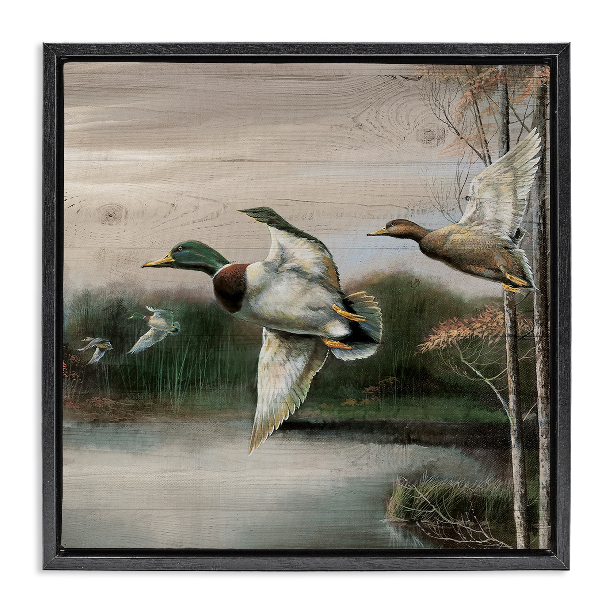Stupell Flying Ducks in Rustic Nature Framed Floater Canvas Wall Art Design By Ruane Manning