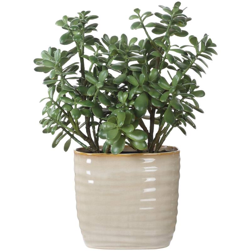 Uttermost 60226 Crassula Jade 23-1/2" Tall Ceramic Faux Flora Planter - Tan
