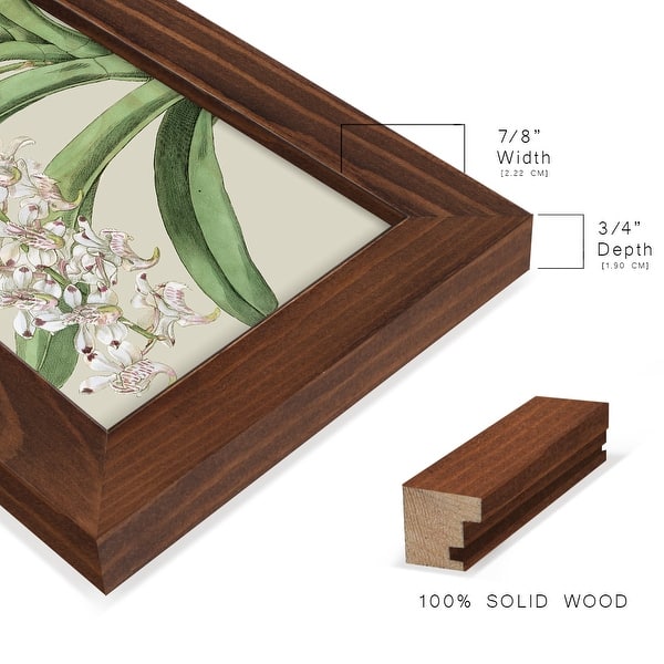 dimension image slide 7 of 15, Orchid Blooms I -Framed Print w/glass-Cherry Red