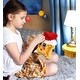 preview thumbnail 6 of 4, DolliBu Santa Starfish Stuffed Animal Plush Toy with Santa Hat Outfit - 6.3 inches