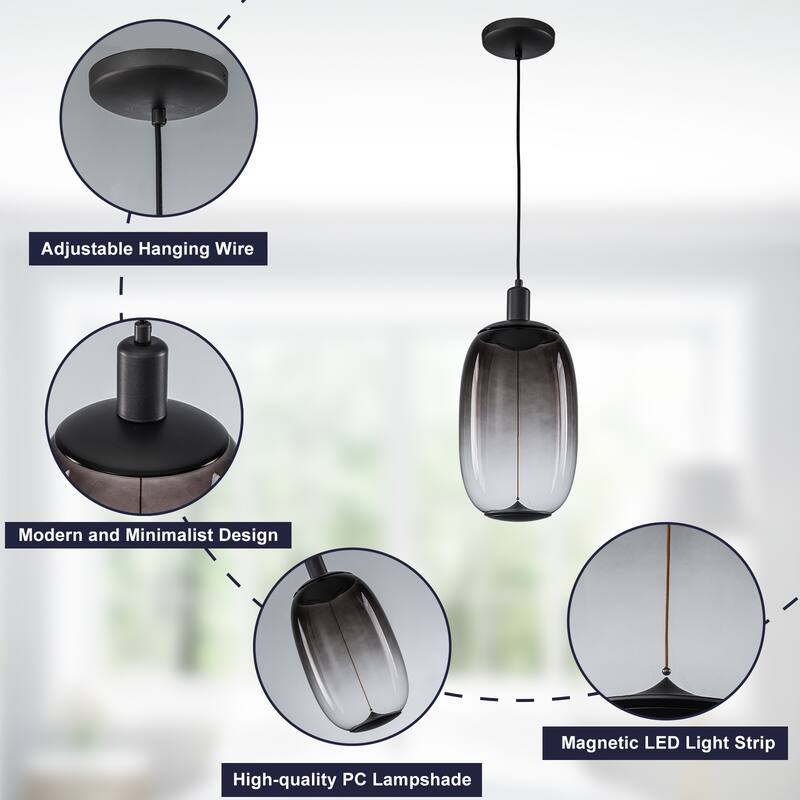 Smoke Gradient Clear Plastic LED Globe Pendant Light