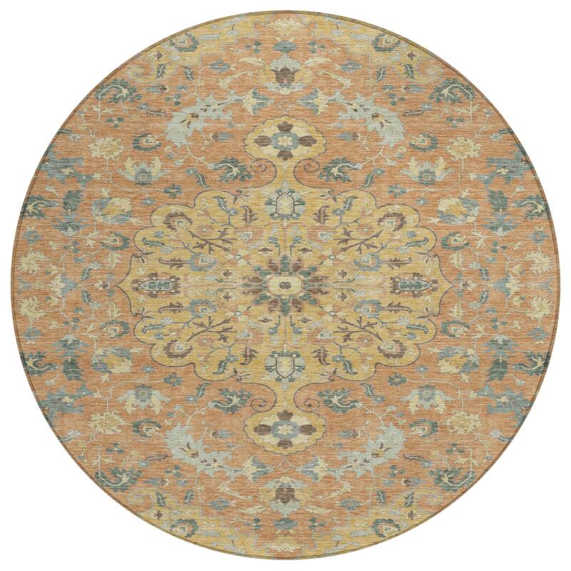 Machine Washable Indoor/ Outdoor Traditional Indore Chantille Rug