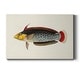 preview thumbnail 1 of 5, Tropical Fish Collection IV Premium Gallery Wrapped Canvas - Ready to Hang 12X18