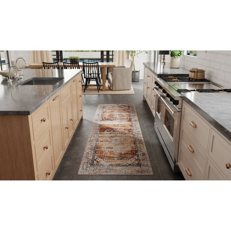 Melrose R39NZ Distressed Transitional Area Rug