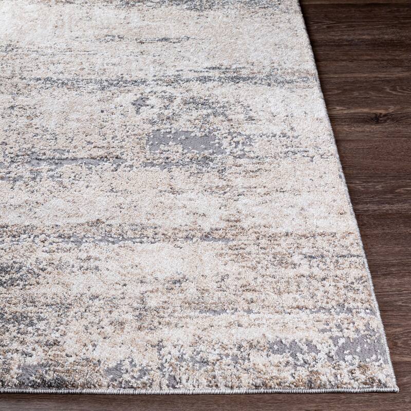 Livabliss Transitional Andorra Abstract Area Rug