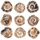 preview thumbnail 4 of 2, Corkscrew Tamarind Wood Wall Art - 13.75" - Set of 9