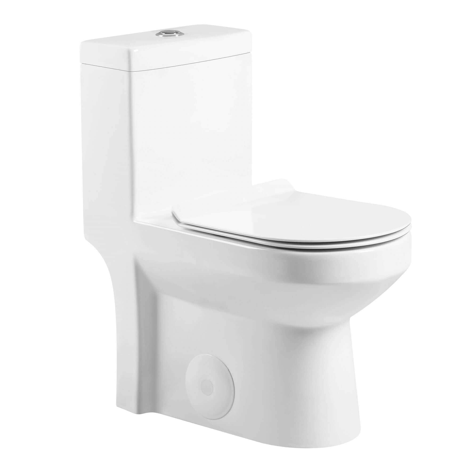 Fine Fixtures Dual-Flush Round One-Piece Toilet 10 Rough in Seat Included