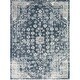 preview thumbnail 2 of 3, Bastian Distressed Traditional Area Rug