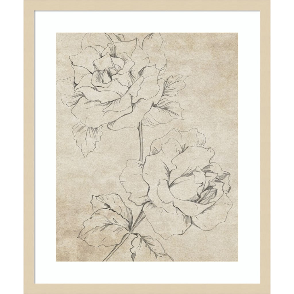 Rose Sketch Sepia by Patricia Pinto Wood Framed Wall Art Print