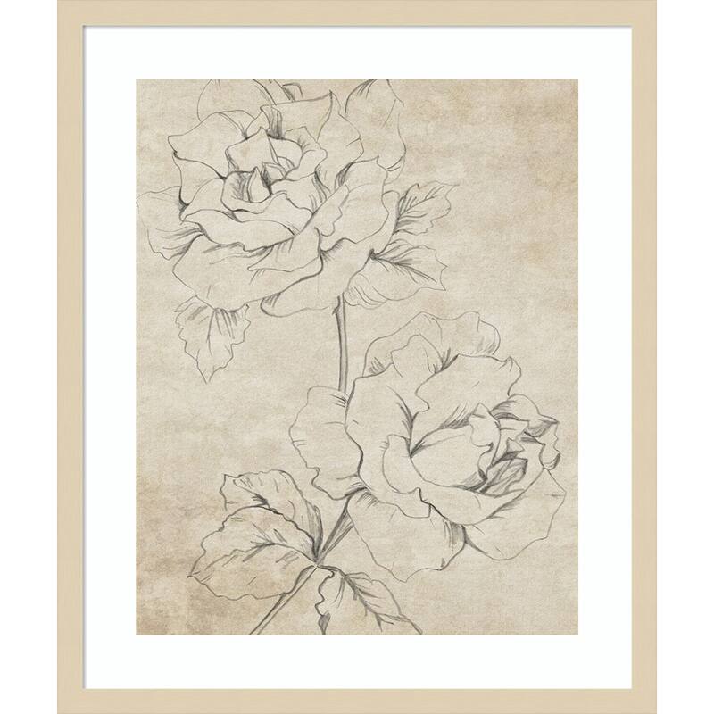 Rose Sketch Sepia by Patricia Pinto Wood Framed Wall Art Print